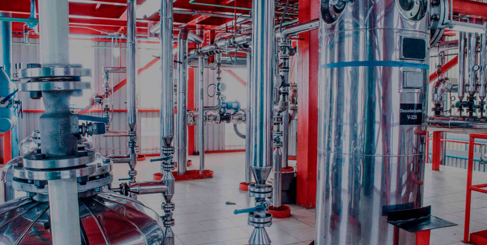 Generación y transformación de Energía